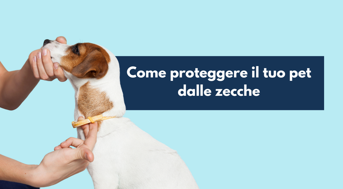 Come proteggere il tuo pet dalle zecche in primavera
