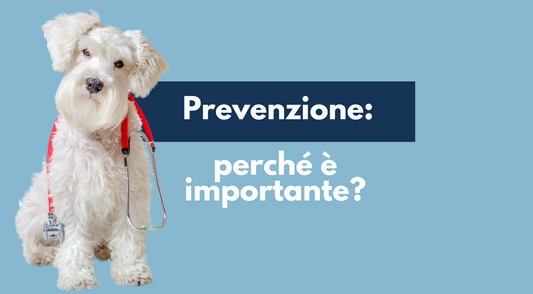 Perchè la prevenzione è importante?