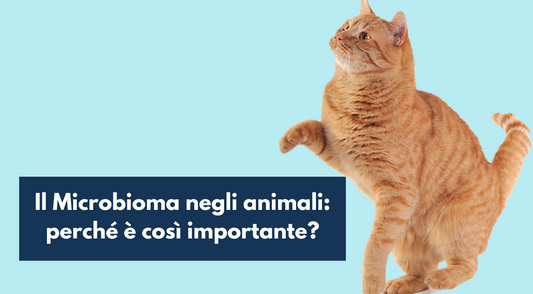Il Microbioma negli animali: perché è così importante?
