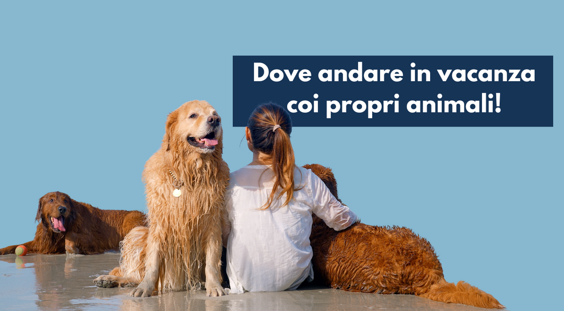 Ponti del 25 Aprile e 1° Maggio: dove andare in vacanza con cani e gatti