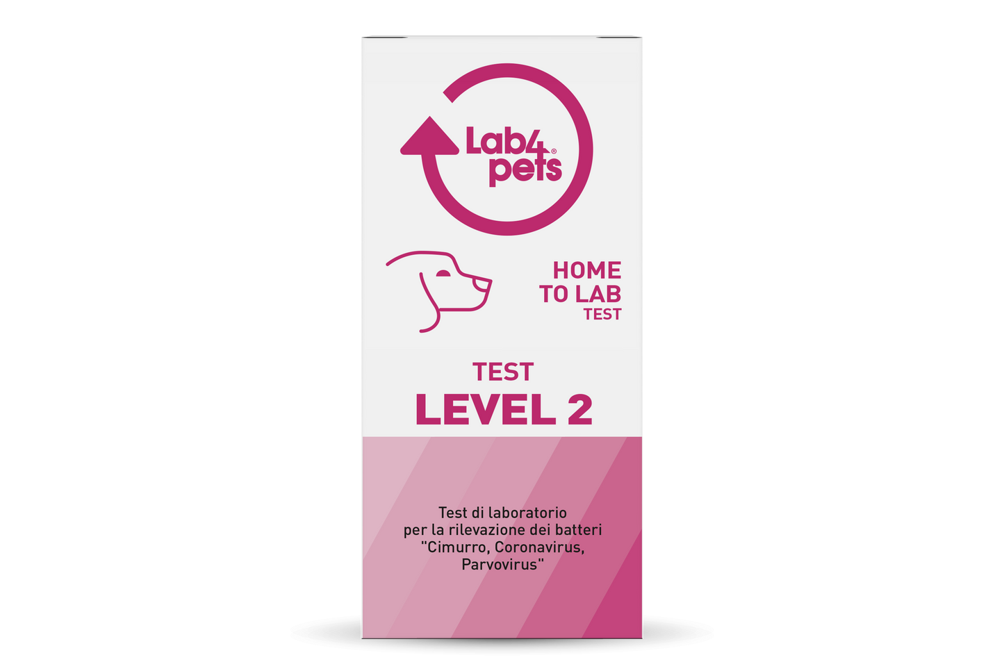 Test Di Laboratorio Cimurro, Coronavirus, Parvovirus Per Cani