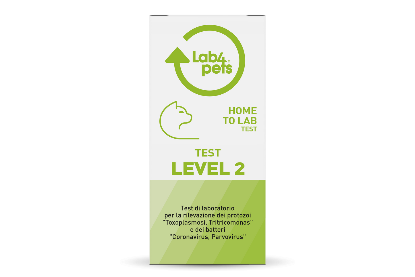 Toxoplasmosis, Tritricomonas, Coronavirus, Parvovirus Laboratory Tests for cats
