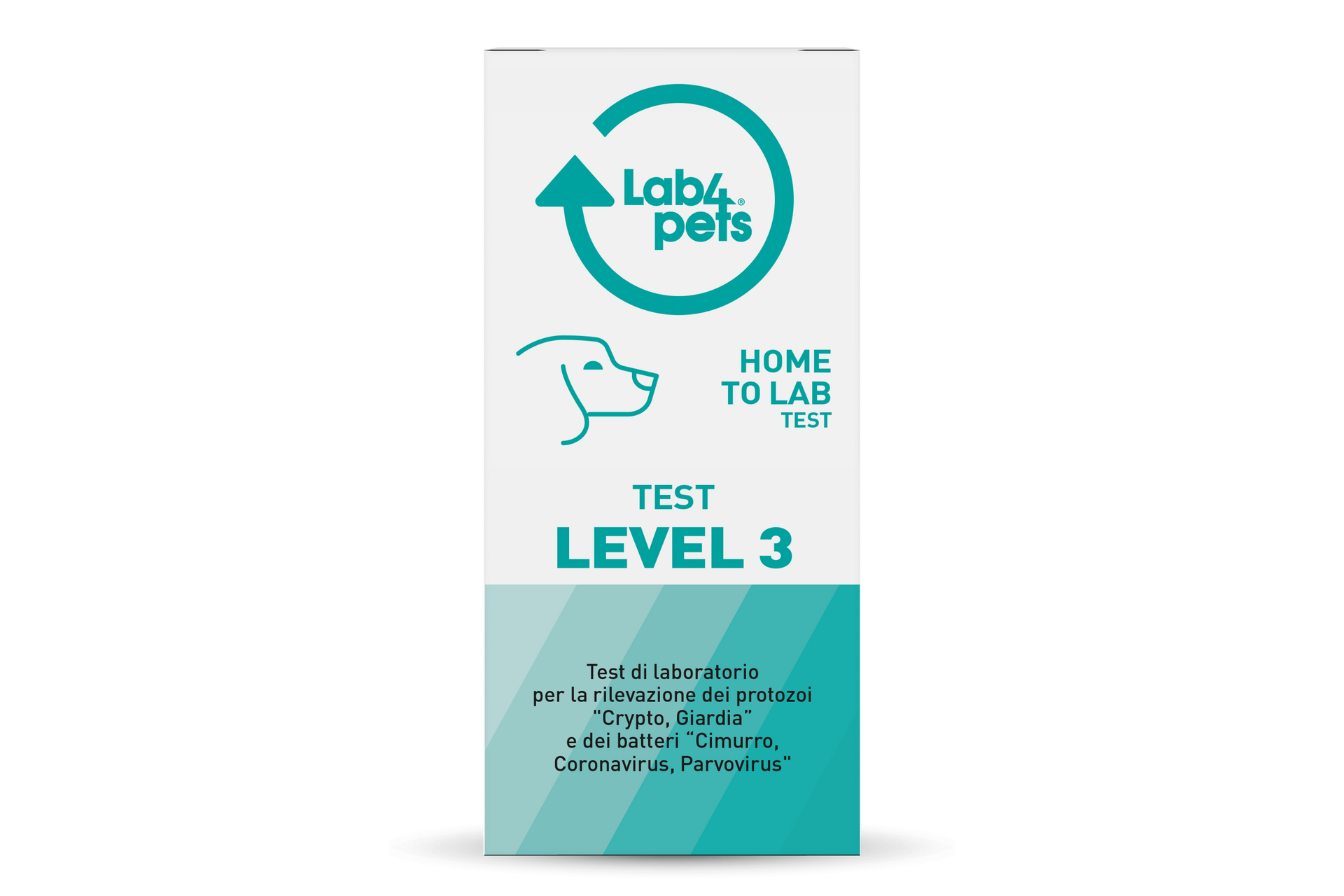 Crypto, Giardia, Distemper, Coronavirus, Parvovirus Lab Tests for Dogs –  Lab4Pets